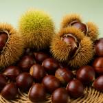 Kastanien: Eines der ältesten Lebensmittel der Welt – und ein Herbstgenuss, der lange satt macht